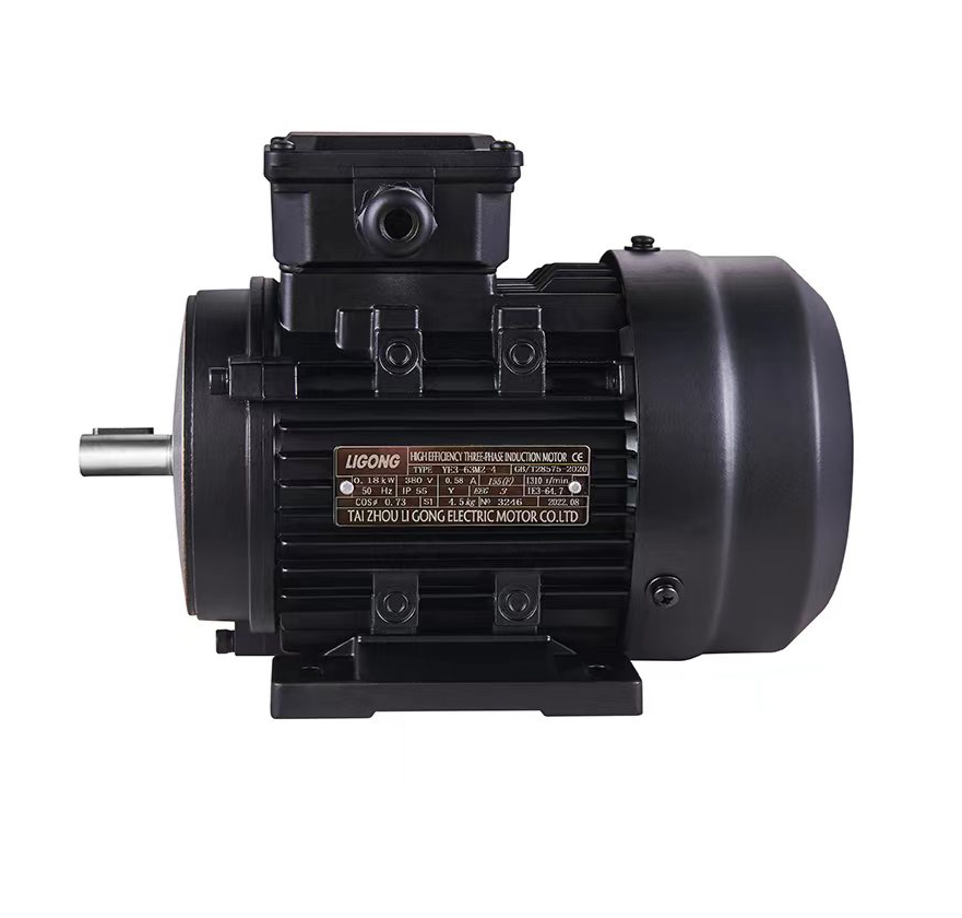 IE4((YE4) Series Three-Phase Electric Motor with Cast Iron Shell(YE5) Motor for Industrial Use