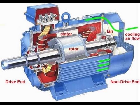 Three Phase Motors and Their Solutions